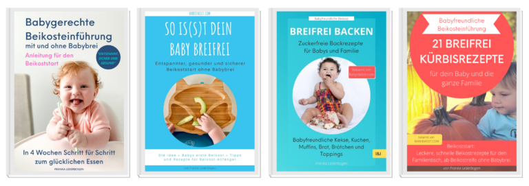 Beikosteinfürhung Beikoststart Baby Buch