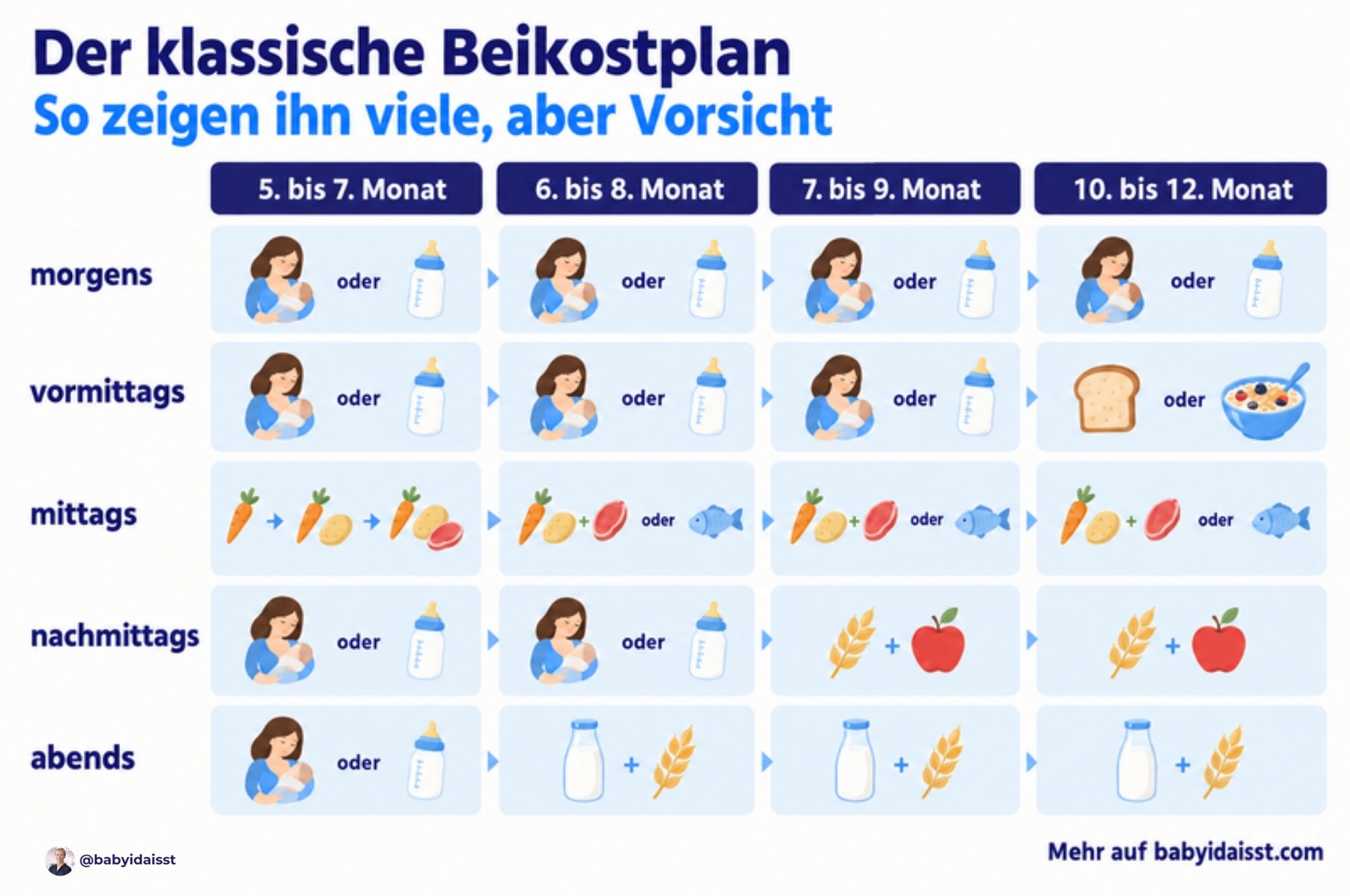 Grafik: Der klassische Beikostplan vom 5. bis 12. Monat. Morgens, vormittags, mittags, nachmittags und abends ersetzt Brei Schritt für Schritt Stillen oder Fläschchen.