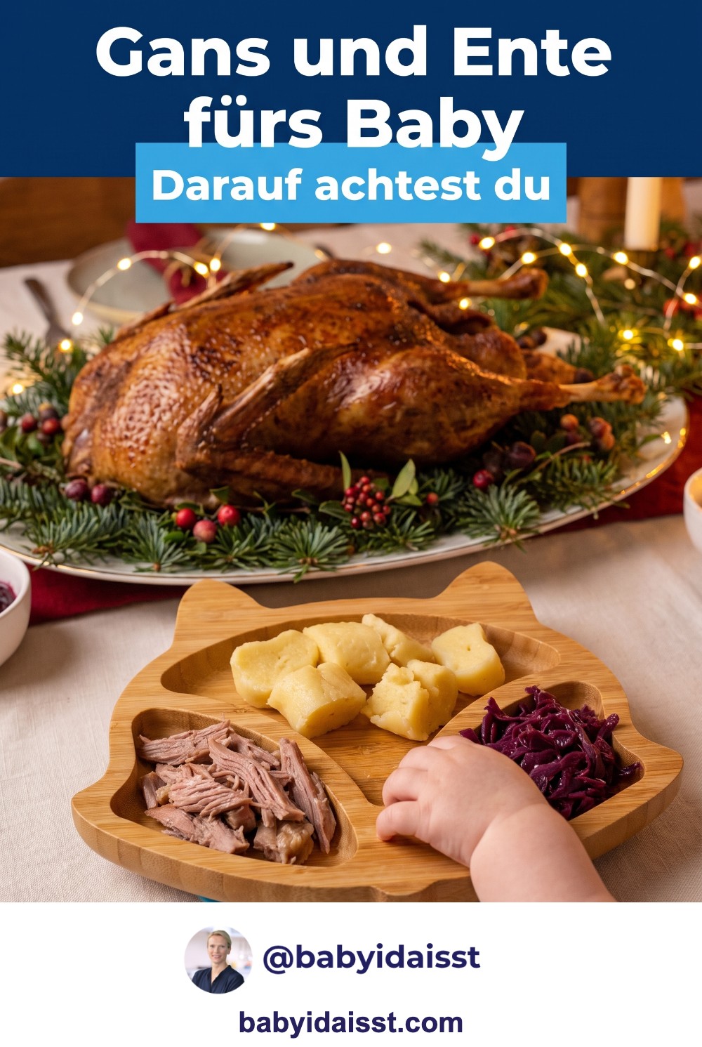 Gans und Ente fürs Baby: gezupftes Fleisch ohne Haut mit Klößen und Rotkohl